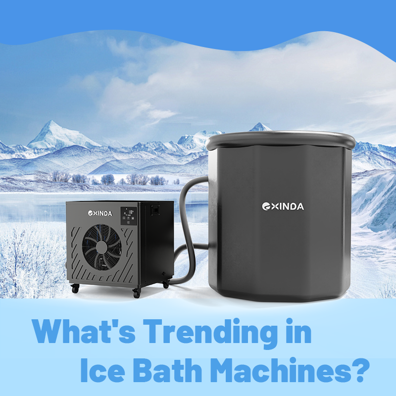 What's Trending in Ice Bath Machines?